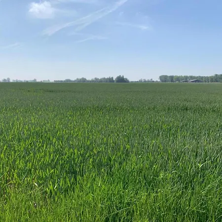 Апартаменты In Near The Ньивпорт